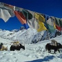 Weg_Gokyo-Dole_003