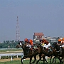 Bombay_023