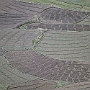 Kaza_nach_Kibber_010