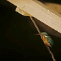 Srinagar_011