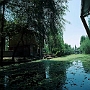 Srinagar_015