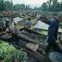 Srinagar_021