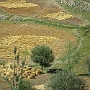 Likir_004