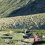 Markha_Valley_Trek_011