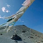 Markha_Valley_Trek_019