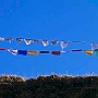 Phyang_001