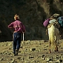 Stok_Kangri_Besteigung_003
