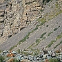 Stok_Kangri_Besteigung_009