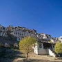 Thikse_Kloster_011