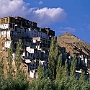 Thikse_Kloster_013