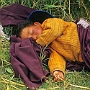 Thikse_Dorf_006