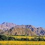 Thikse_Dorf_010