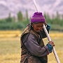 Thikse_Dorf_019