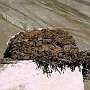 Kurgiakh_nach_Puri_003