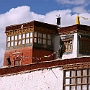 Thonde_003