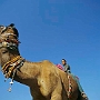 Pushkar_018
