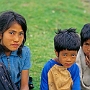 Pelling_007