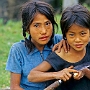 Pelling_008