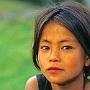 Pelling_010