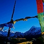 Dzongri_nach_Tangshing_008
