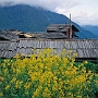 Yuksom-Bakim_027