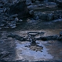 Himanali_Basecamp_004