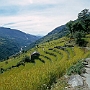 Pokhara_Ghandrung_017