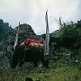 Weg_Luglha-Namche_Bazar_001