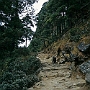 Weg_Luglha-Namche_Bazar_015