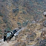 Weg_Namche_Bazar-Thame_011