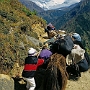 Weg_Namche_Bazar-Tyangboche_006