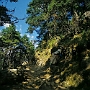 Weg_Namche_Bazar-Tyangboche_013
