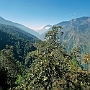 Dunche_Bazar-Lama_Hotel_010
