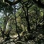 Dunche_Bazar-Lama_Hotel_011