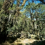 Dunche_Bazar-Lama_Hotel_013