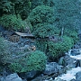 Dunche_Bazar-Lama_Hotel_019