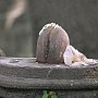 Shiva_Parvati_Schrein_002