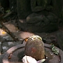 Shiva_Parvati_Schrein_007