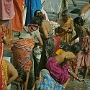 Sadhus_und_Pilger_004