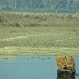 Am_Rapti_Fluss_010