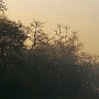 Am_Rapti_Fluss_013